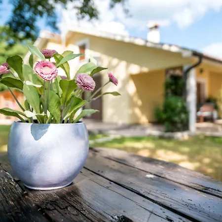 Holiday Nono Casa vacanze Sveti Petar u Sumi