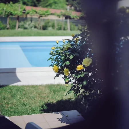 Holiday Nono * Sveti Petar u Sumi